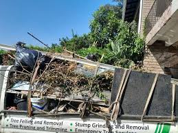 Best Basement Cleanout  in Cocoa, FL